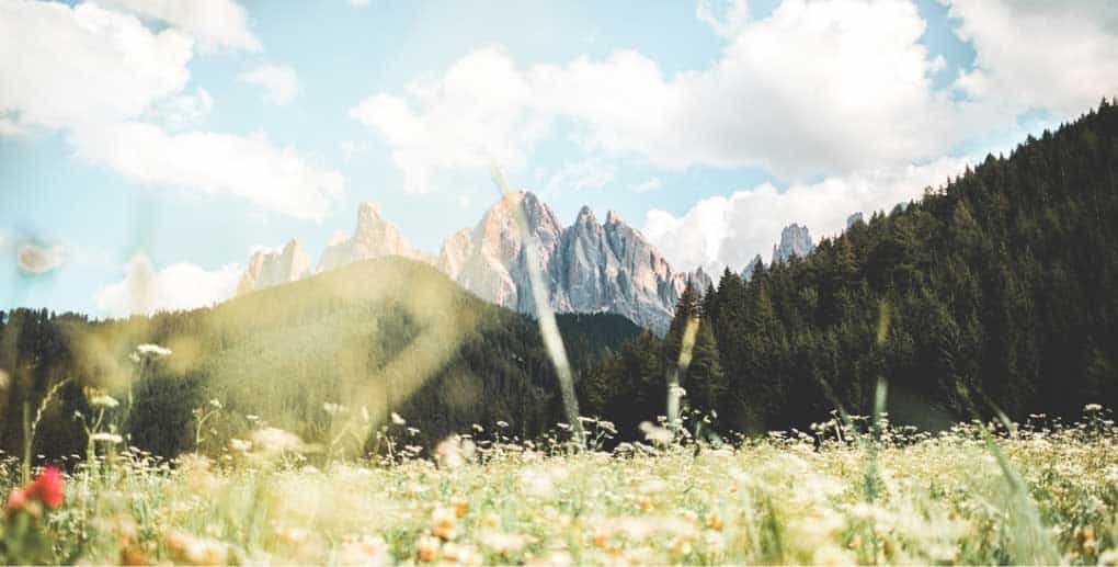 A landscape image with a mountain in the background.