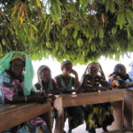 World Education Launches Women-Led, School-Based Agroforestry Project in Benin