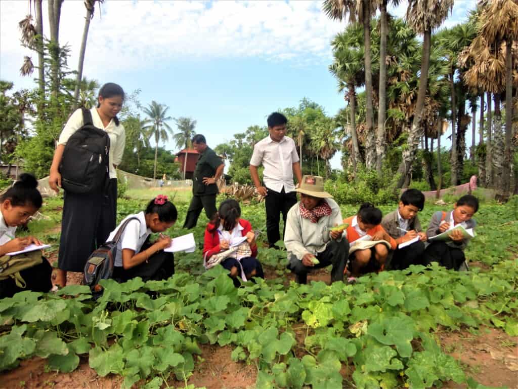 Young people in Cambodia conduct field research on a pumpkin farm