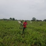 Citizen Science to Build Climate Resilience through Biodiversity Conservation in Northern Benin